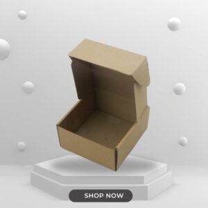 Lunch Kraft Laminasi