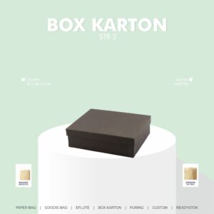 BOX KARTON STR 3